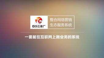 哈爾濱網(wǎng)絡(luò)推廣公司 計(jì)算機(jī)系統(tǒng)服務(wù)行業(yè)年度推廣費(fèi)用解析